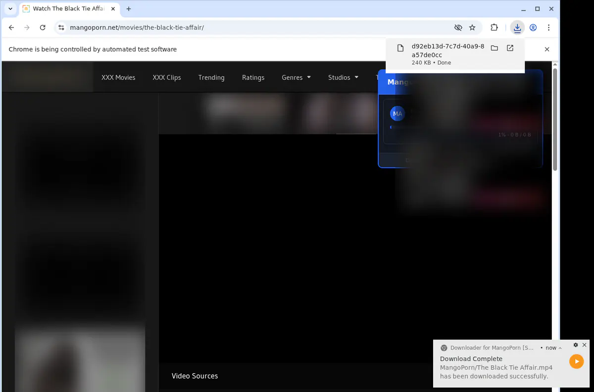 Mangoporn Video Downloader screenshot 2