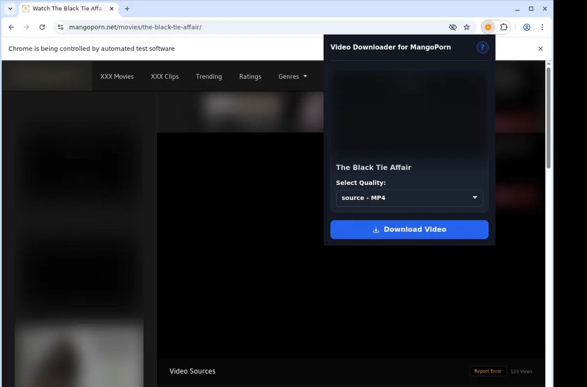 Mangoporn Video Downloader screenshot 3